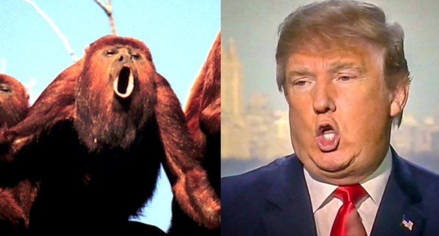 trumpmonkey