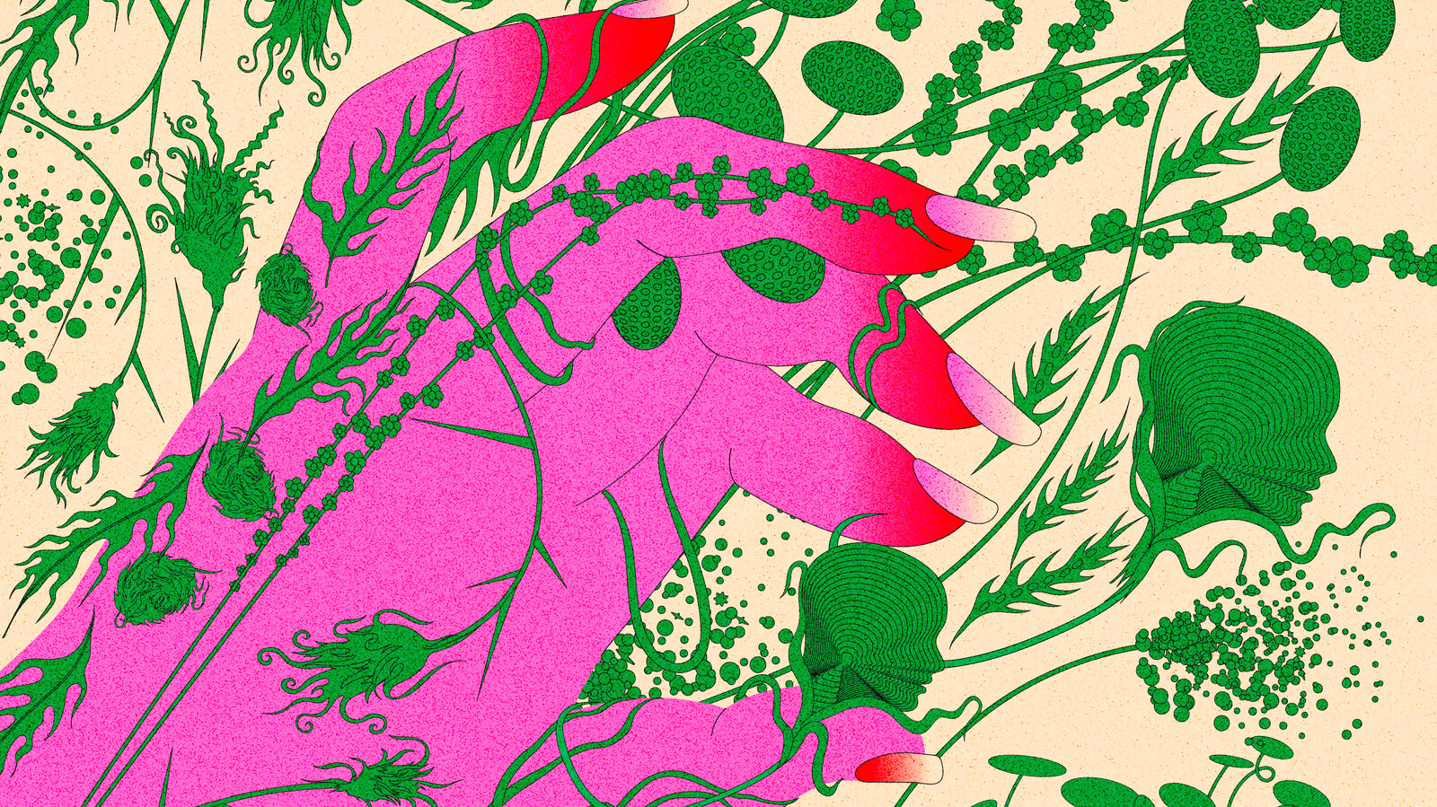 Why Weeds Are Worth Reconsidering 