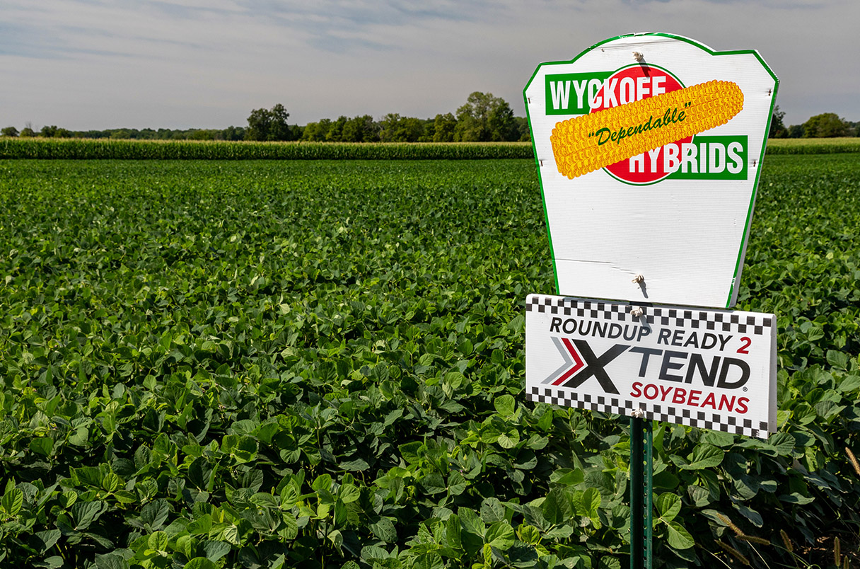 Common weed killer may be harming infants  