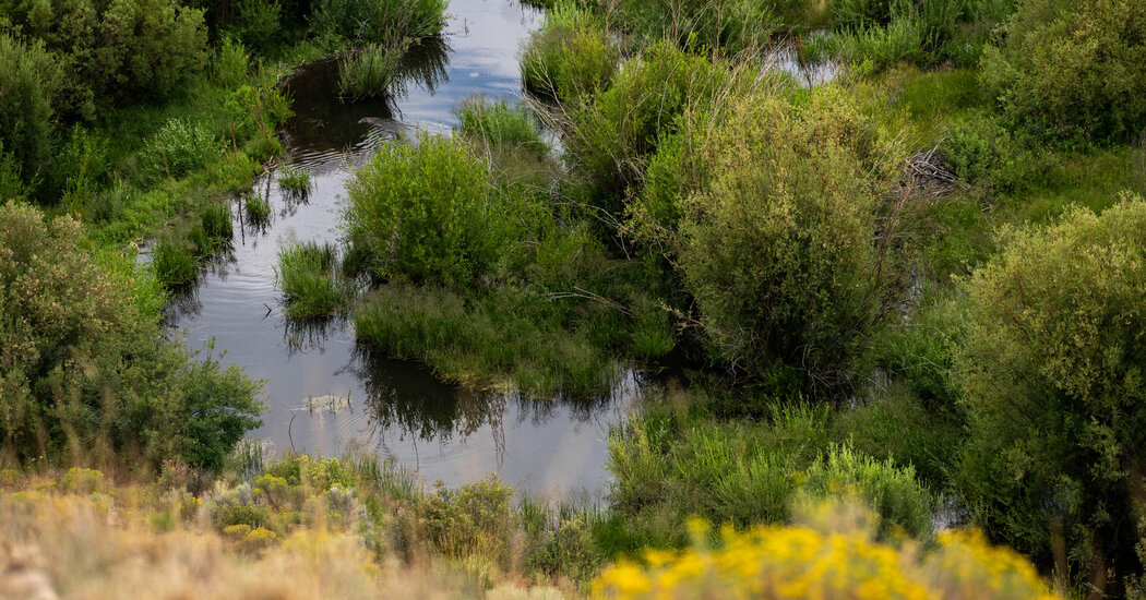 Study Finds Small Streams, Recently Stripped of Protections, Are a Big Deal  