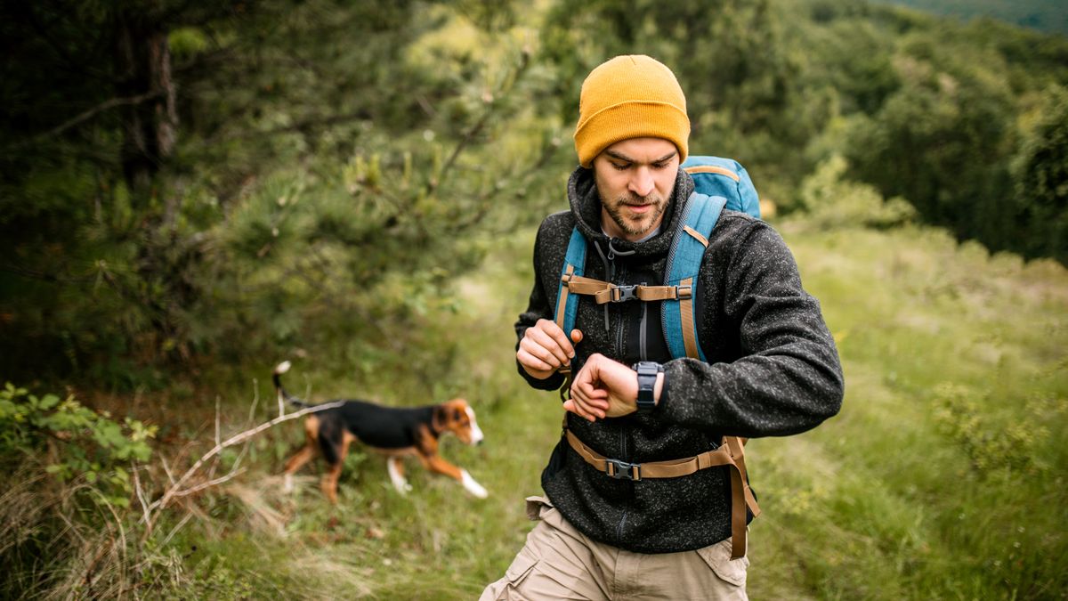 New study finds certain smartwatch bands contain “very high concentrations” of harmful PFAS – here’s what to look for instead  