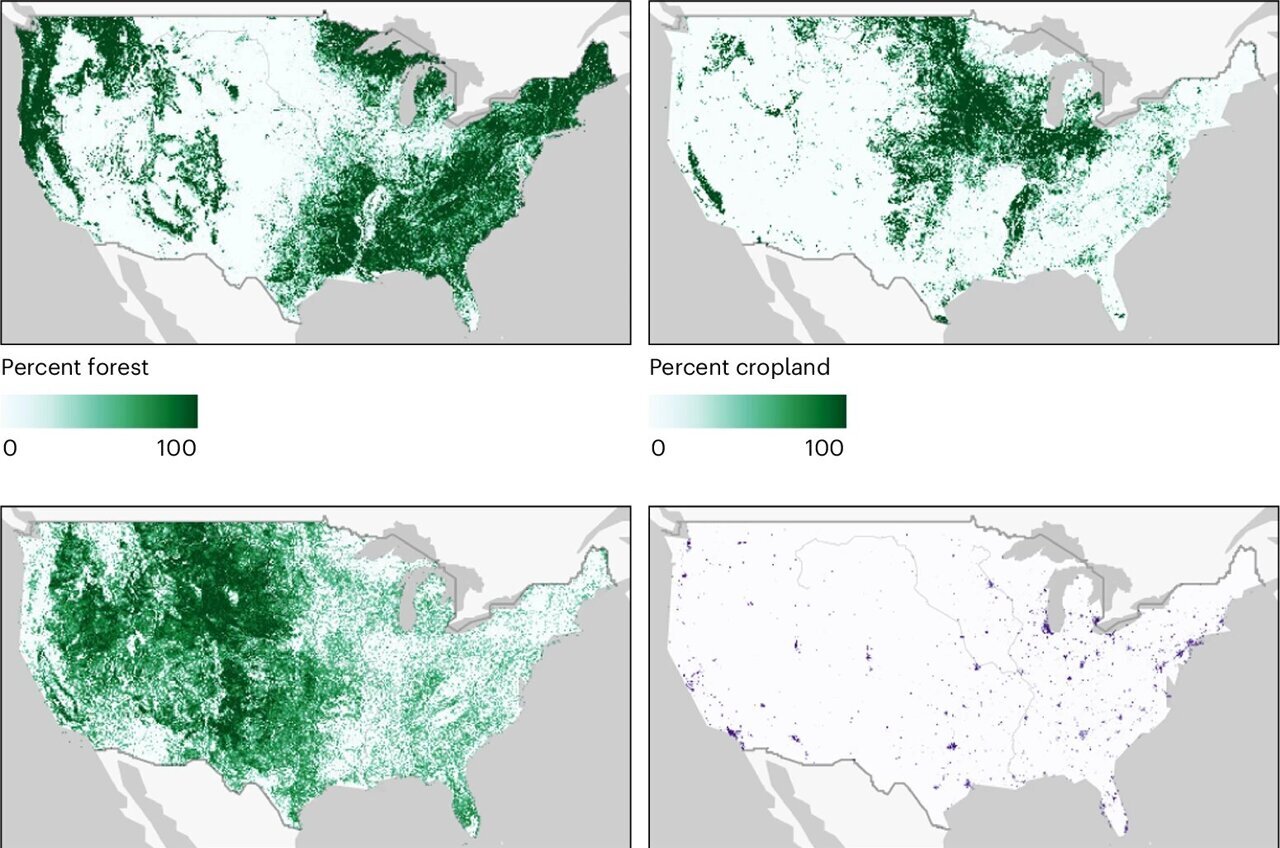 Satellite data and neuroimaging reveal how environment can impact brain development